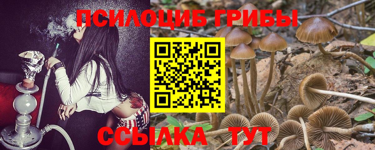Псилоцибиновые грибы Cubensis Невинномысск